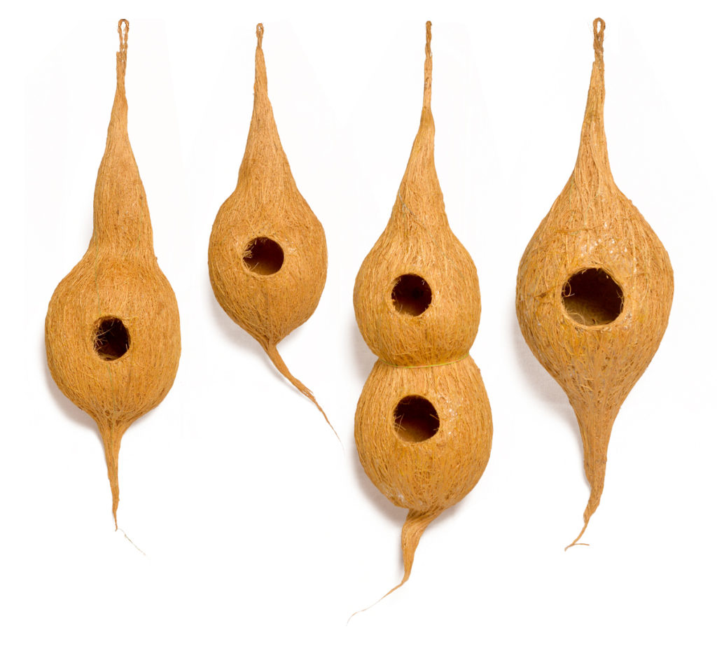 Coir Bird Nest