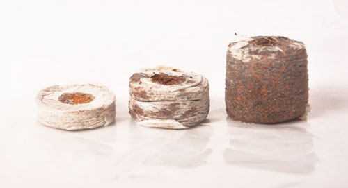 Cocopeat Seed Starter